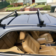 Illustration for article titled At $6,500, Is This 1993 Mercedes 300CE A Coupé You Might Cop?
